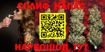 прущие крисы Северобайкальск