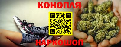 прущие крисы Северобайкальск