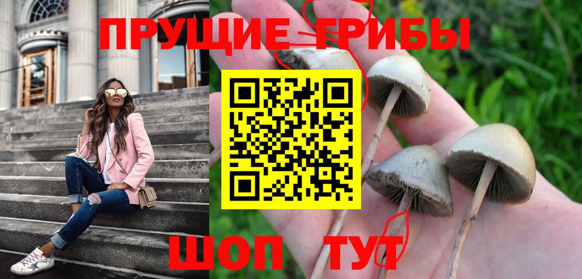 Приморско-Ахтарск  Галлюциногенные грибы Psilocybe  Вход с VPN 