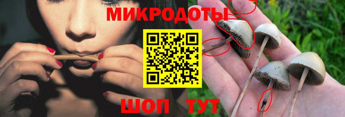 Галлюциногенные грибы GOLDEN TEACHER Приморско-Ахтарск